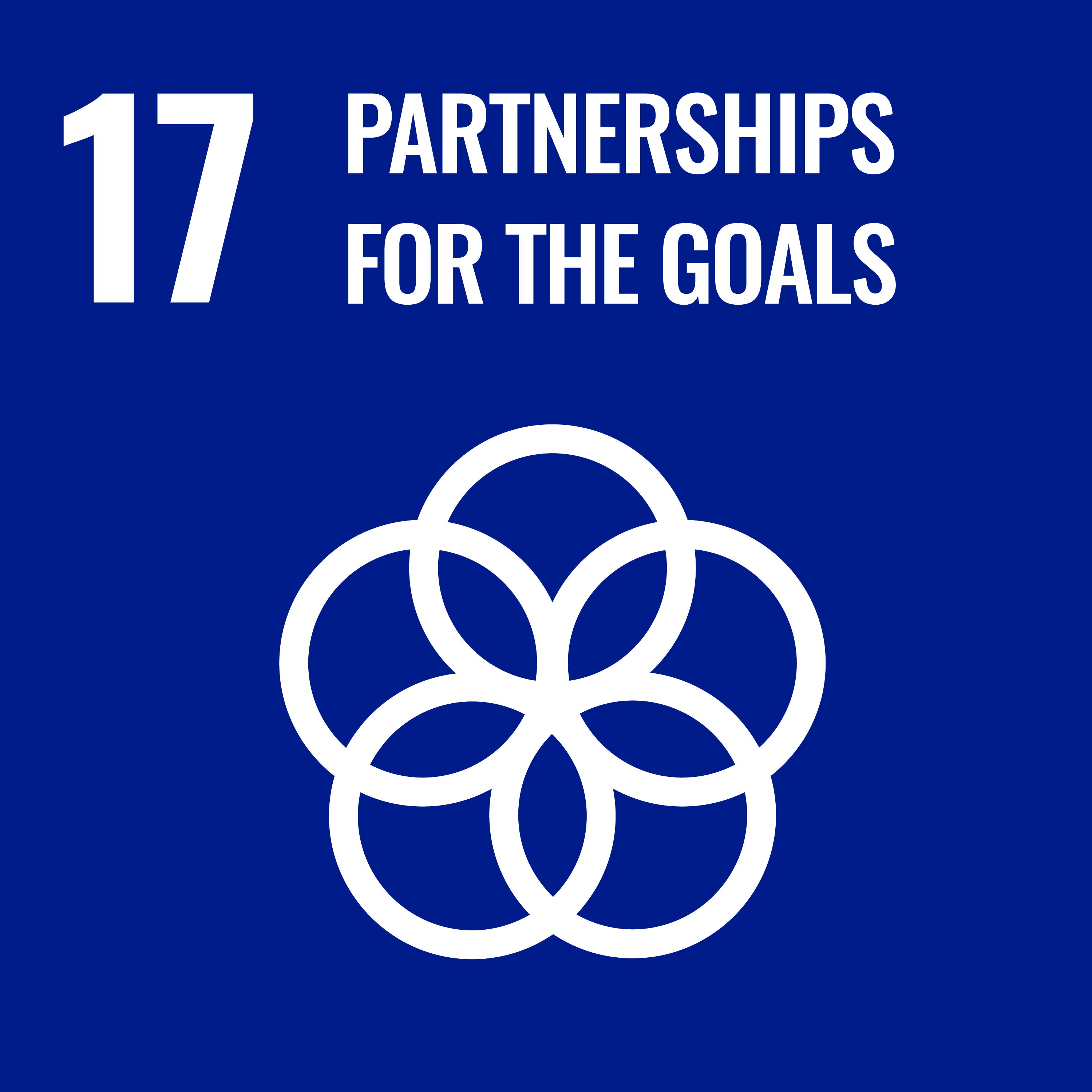 SDG 17.png